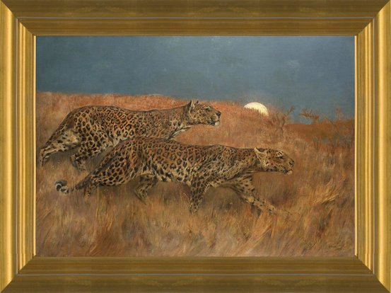 Stalking Lepoard an Original Oil in full color on outlet 20x16x1 canvas