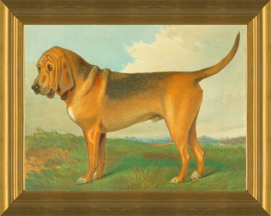 ARTCANVAS Bloodhound deals Dog Canvas Art Print