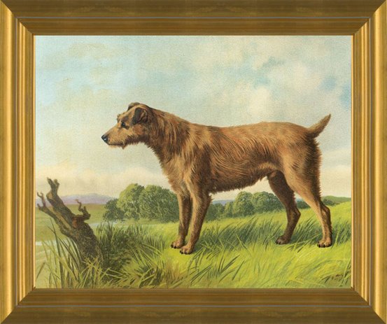 IRISH TERRIER TWO DOGS LOVELY VINTAGE STYLE DOG PRINT POSTER 