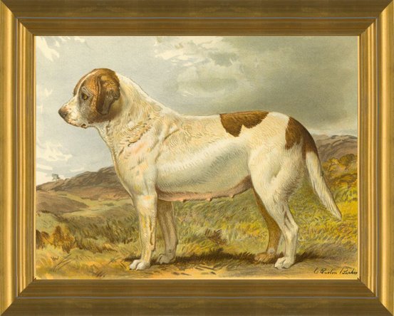 Saint St Bernard Dog Art CANVAS Print of LA Shepard Painting -  Norway