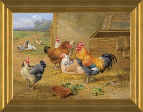 Hens and Chickens. deals Art Print.