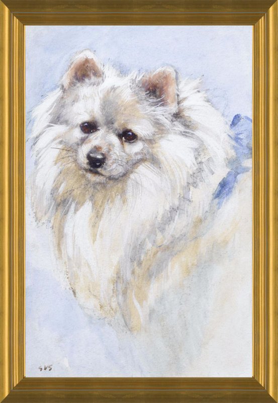 Art Prints Of Portrait Of A Japanese Spitz By George Vernon Stokes