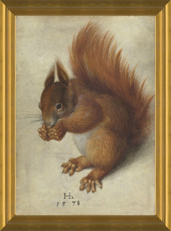 Art Prints of Red Squirrel by Hans Hoffmann