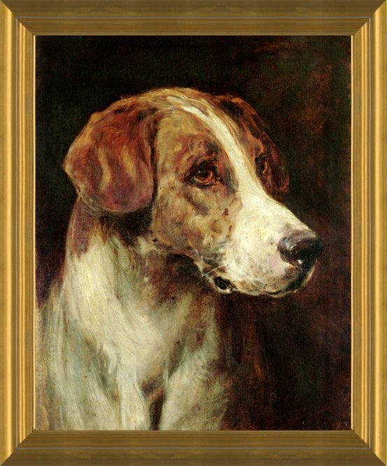 Art Prints of Study of the Head of a Hound by Heywood Hardy