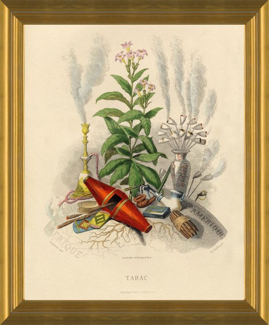 can i grow tobacco legally How to Grow, Harvest and Cure Tobacco