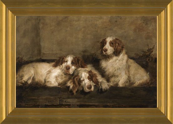 clumber spaniel kennel
