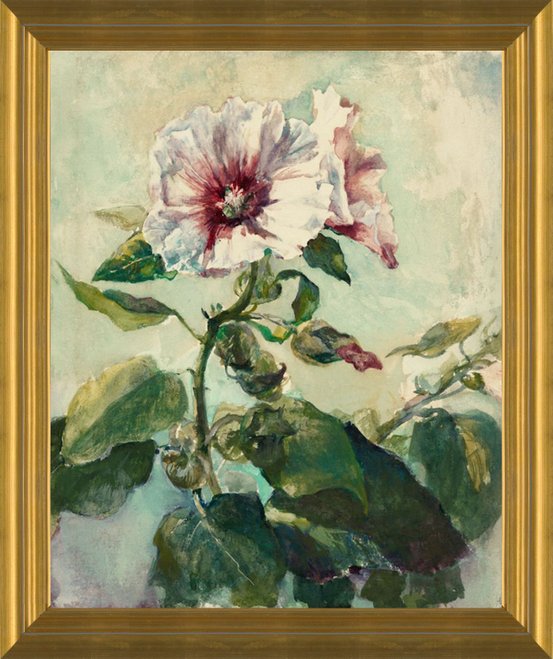 Art Prints of Study of Pink Hollyhocks in Sunlight from Nature by