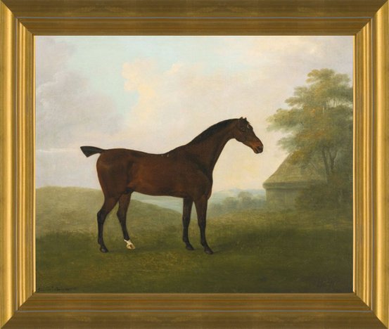 Art Prints of A Dark Bay Hunter in a Landscape by John Nost Sartorius