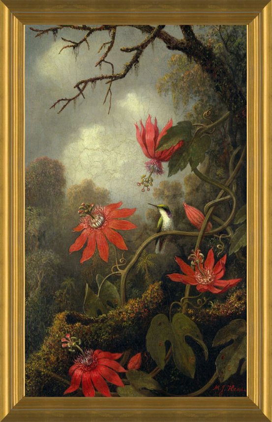 Hummingbird and Passion Flowers by Martin Johnson Heade | Fine Art Print