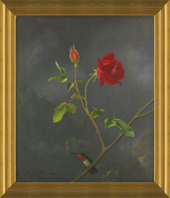 Art Prints of Red Rose with Ruby Throat by Martin Johnson Heade