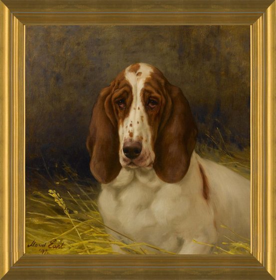 Basset hound canvas art best sale