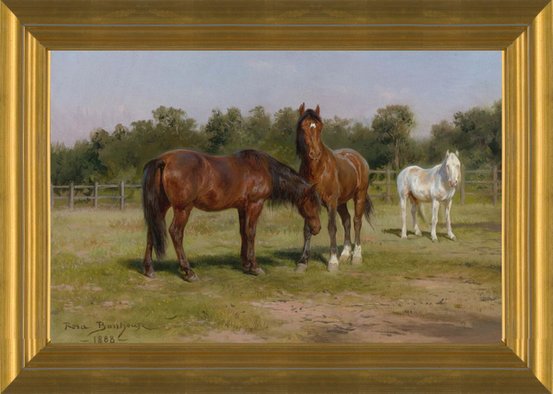 Thoroughbred Horses Grazing in Pasture Photo Art Print Poster 18x12 inch