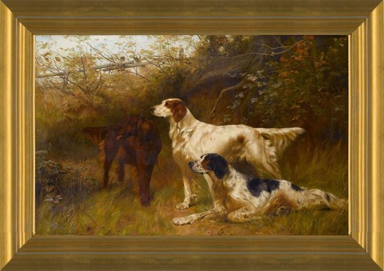 Vintage Irish online English Setter Oil Painting