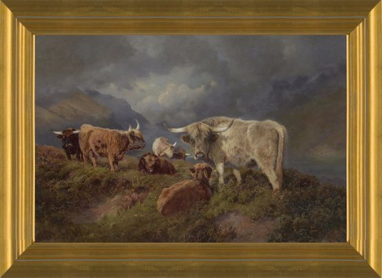 Highland Cow Canvas Fine Art Print newest